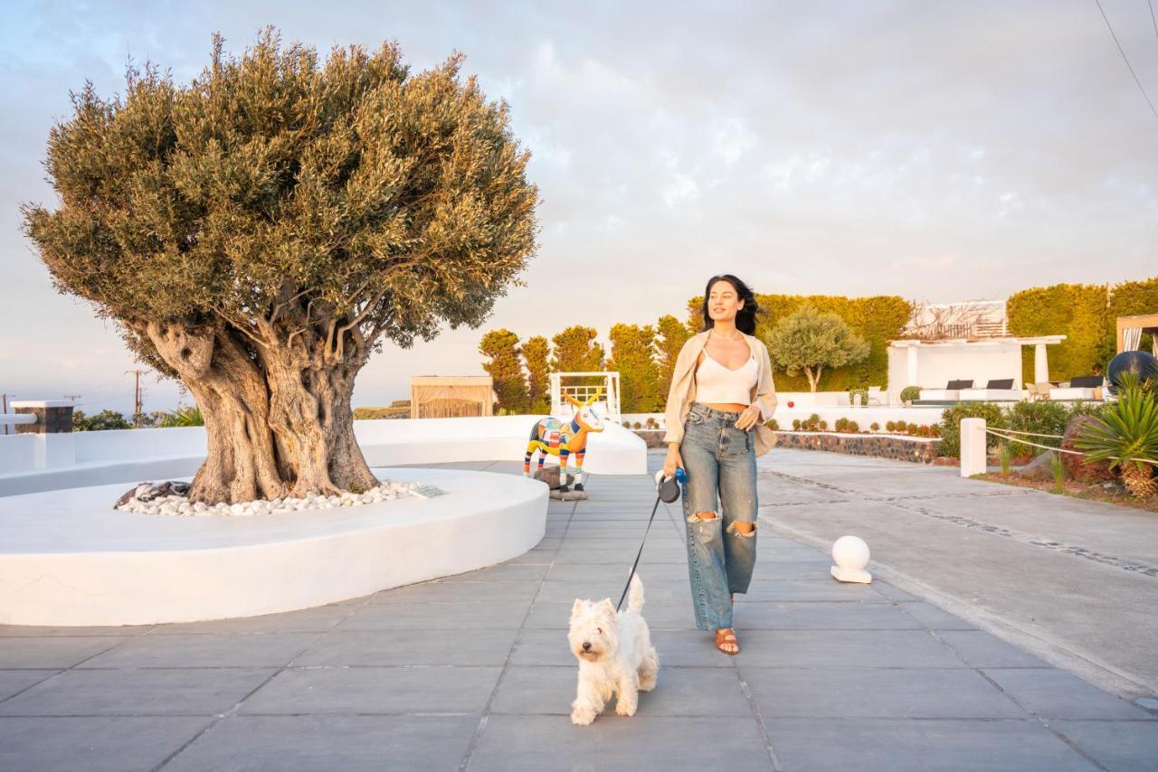 Oia Sunset Villas Eksteriør bilde